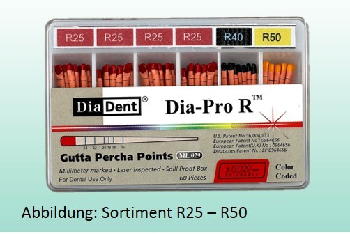 Dia-Pro-R Sortimentpackung, Inhalt 60 Stück