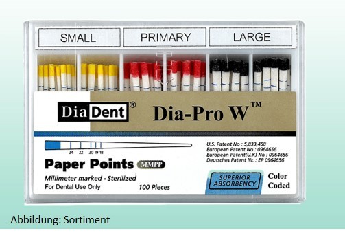 Dia-ProW Papierspitzen, Inhalt 100 Stück